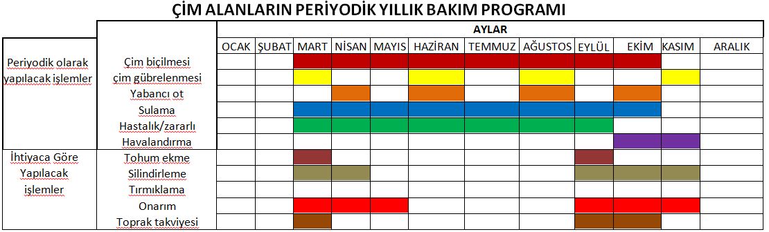 Çim Bakım Takvimi